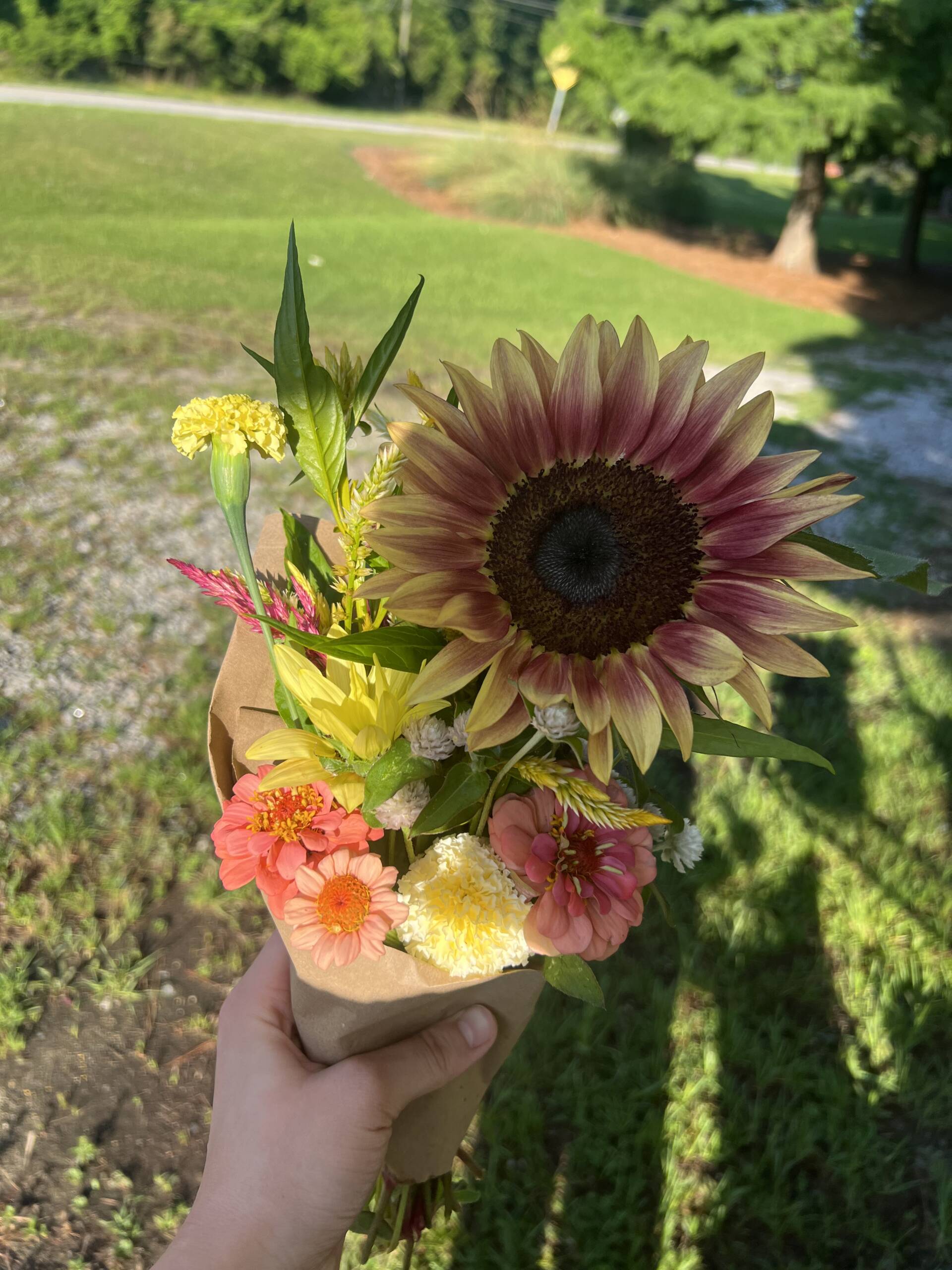 mixed sunflower bouquet